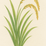 Thumbnail of post image 114
