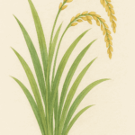 Thumbnail of post image 188
